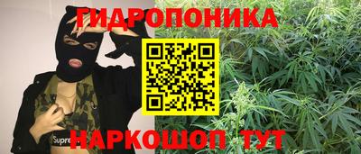 сатива Пенза