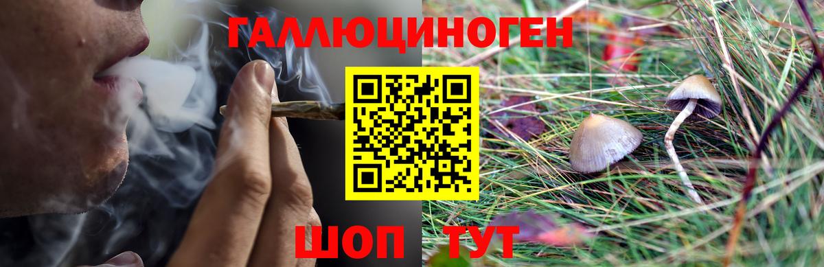 Галлюциногенные грибы Cubensis  Вход с VPN  Борзя 