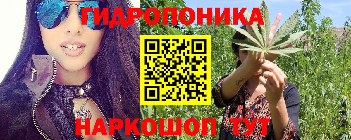 Канабис ГИДРОПОН Борзя